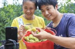直播带货培训助力脱贫攻坚，农民网红年销售额破亿元